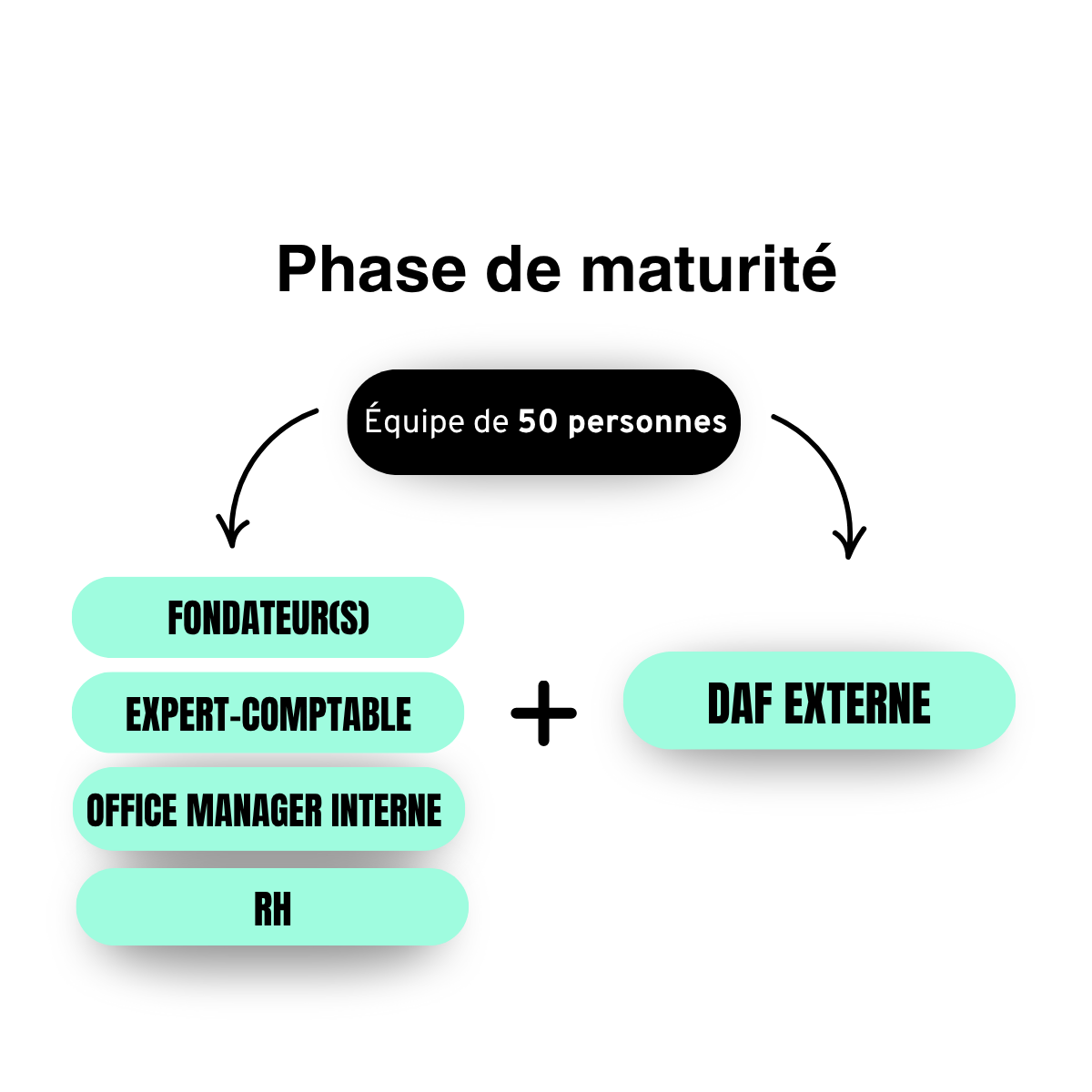Phase de maturité - équipe finance